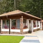 ивелия Dospat