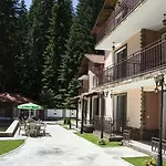 ивелия Dospat