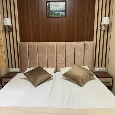 Guest house ивелия Dospat