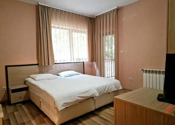ивелия Guest house 3*
